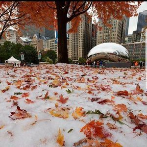 Meet your Posher, Humair